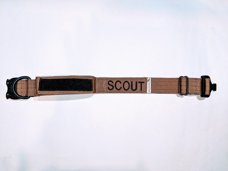 tactical dog collar with name patch