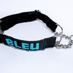 May include: Black nylon dog collar with a silver chain and a blue "BLEU" inscription.