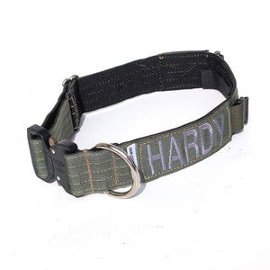 Könnte beinhalten: Ein olivgrünes Hundehalsband mit dem Namen "HARDY" in Silber gestickt. Das Halsband hat eine schwarze Schnalle und einen silbernen Metall-D-Ring zur Befestigung der Leine. Das Halsband besteht aus strapazierfähigem, gewebtem Material.