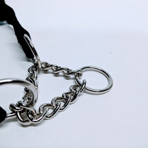 Puede incluir: Un collar de perro de nylon negro con una cadena plateada y dos anillos plateados.