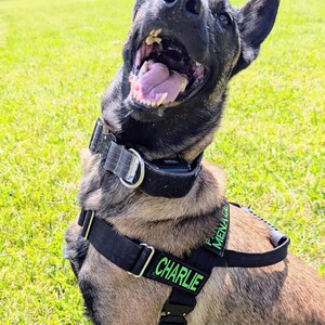 Custom Harness