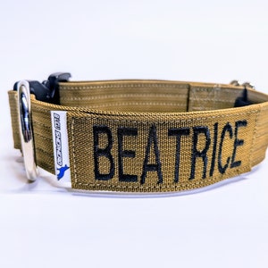 1.5 Tactical E collar with Name image 5