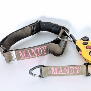 1.5" E- Collar Combo (Handle, Name Tag & Transmitter Clip)