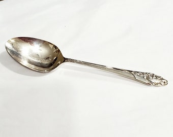 Vintage Oneida Community Evening Star Casserole Spoon silverplate 8.5"