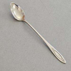 Oneida Silver Adam Ice Tea Spoon 7.5" delicate floral community plate 1920s