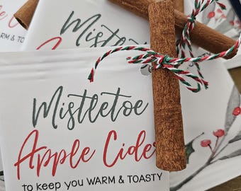 Juegos de regalo de sidra de manzana caliente para las vacaciones de Navidad, paquetes de regalo personalizados, obsequios para el maestro, obsequios personalizados de canela Holly, obsequios a granel