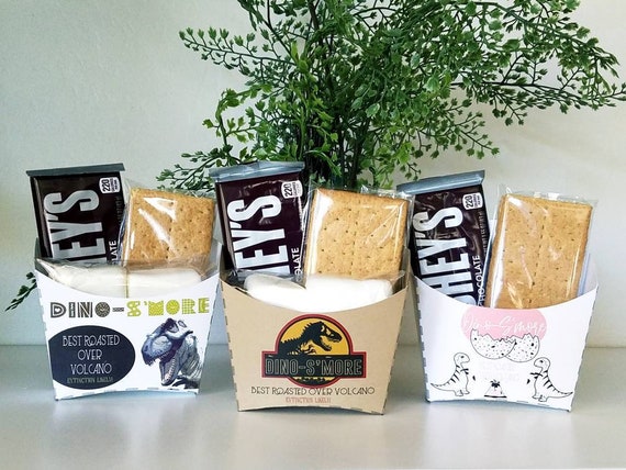 Custom unique Dinosaur Smore gift set or box dinosmore jurassic adventure jungle rainforest nature party theme kids t rex chocolate favors Il_570xn