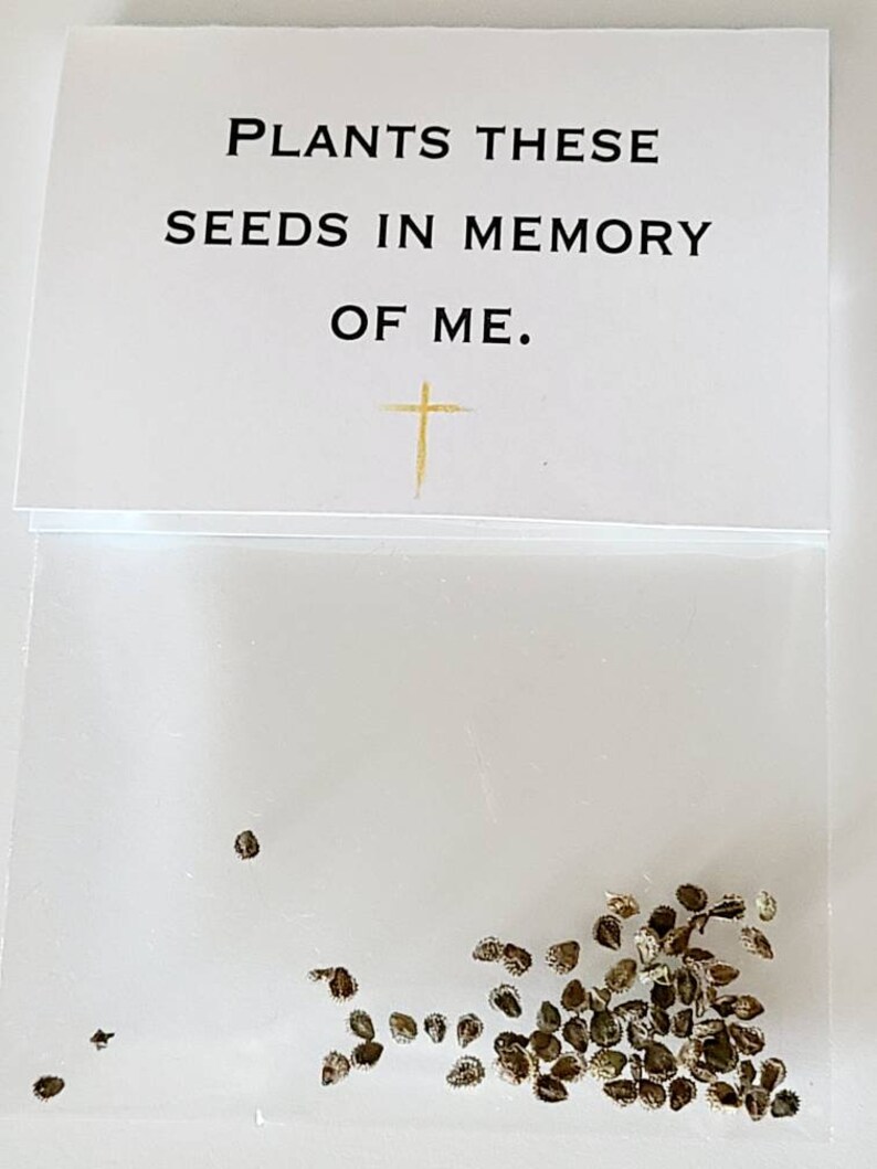 pouches or seed packet favors bereavement forget me not SET OF 10 church in memory of memorial service reception sachets Funeral service