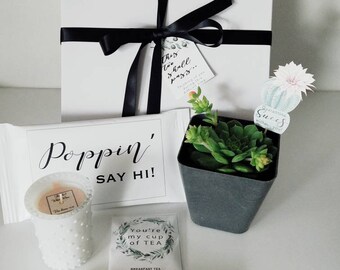Encouragement Gift Set: Succulent, Candle & Chocolate Care Package