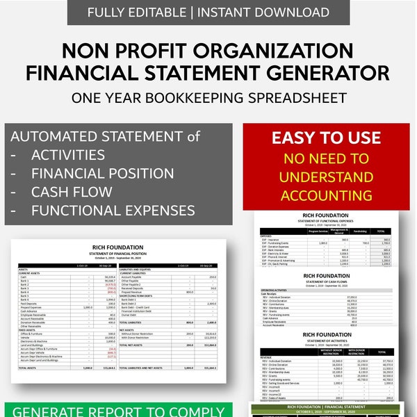 Non Profit Organization Financial Statement Generator | Charitable Organization Automated Balance Sheet & Statement of Activities