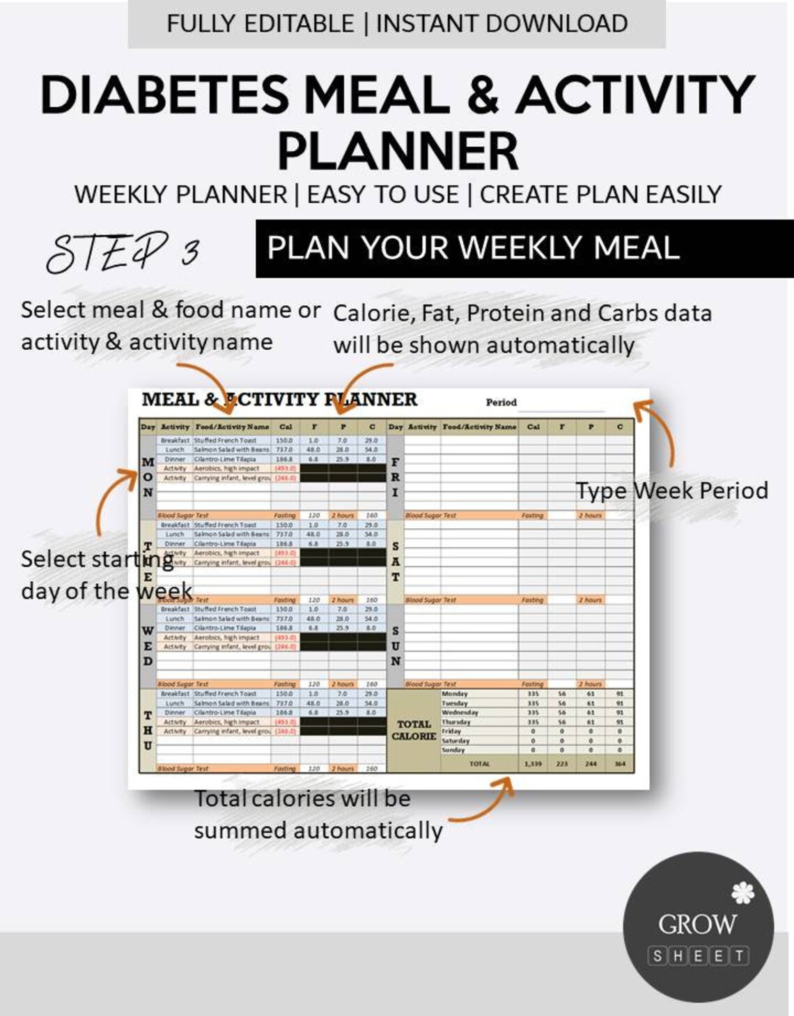 Diabetes Meal and Activity Planner Excel Template Fully Editable Weekly