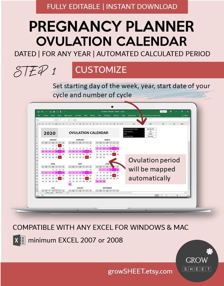 Pregnancy Planner Template | Ovulation Calendar Spreadsheet Excel - Etsy
