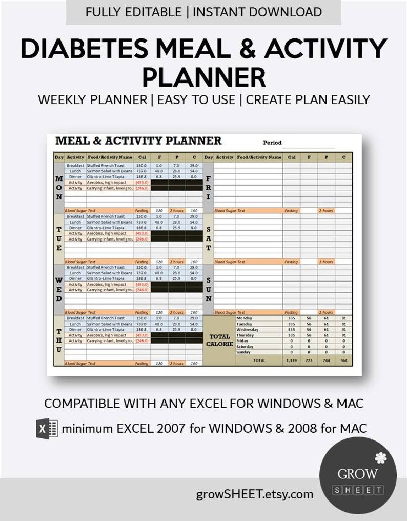 Diabetes Meal and Activity Planner Excel Template Fully | Etsy