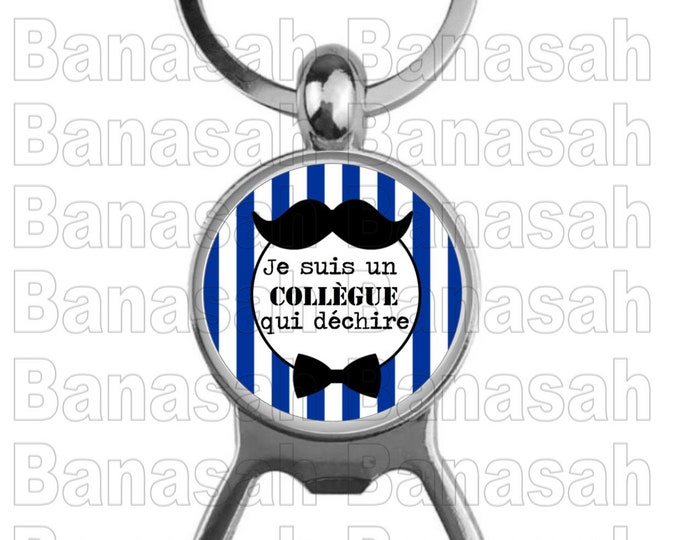 Key Holder "I'm a colleague who rips" Ideal to make an ideal gift to make an original and practical gift