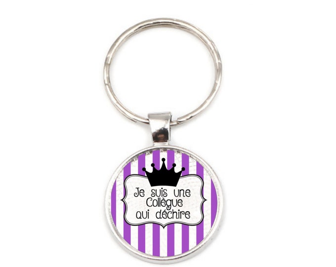 Key Ring "I am a Colleague who tears" metal, ideal for gift! gift nurse orderly nanny colleague director