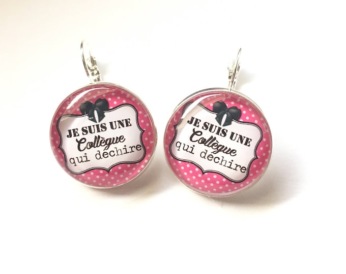 Original & unique earrings "I am a colleague who rocks" Personalized, mockery, blue, pink, polka dots, bow, humor