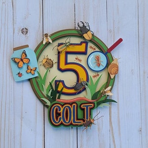 Bug Birthday Cake Topper: Rustic Insect Party Decor