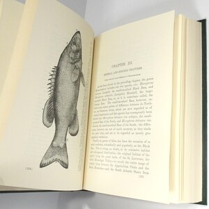 Black Bass-boken av James A. Henshall, M.D. 1881 Inbunden 1987 Nytryck bild 7