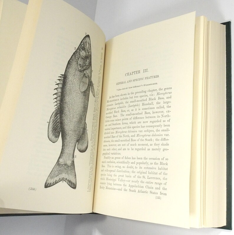 Black Bass-boken av James A. Henshall, M.D. 1881 Inbunden 1987 Nytryck bild 7