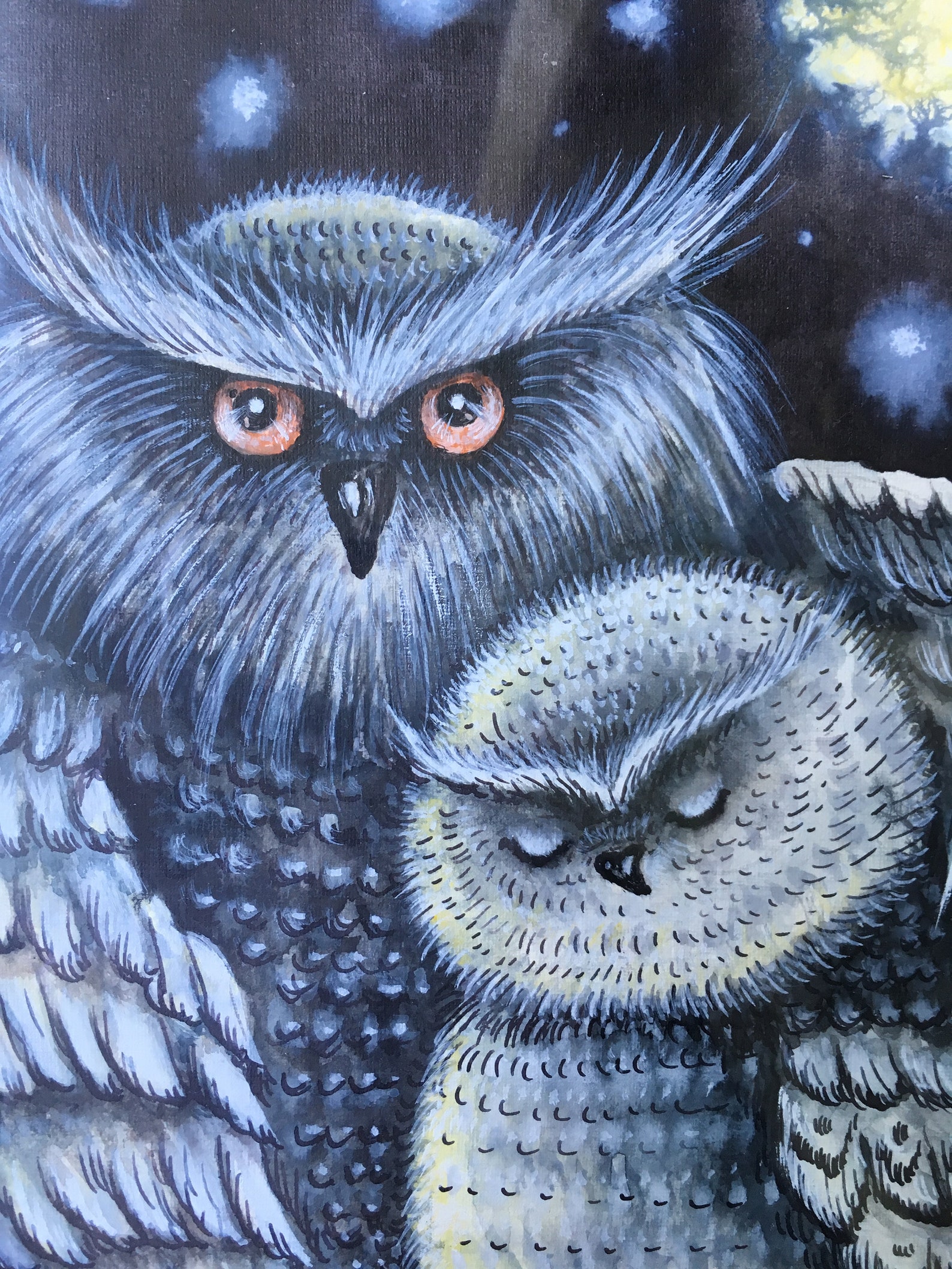 Original owl painting Bird couple Love owles painting Elderly Etsy