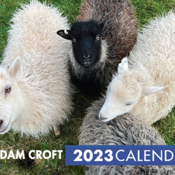 2024 Sheep Calendar Etsy