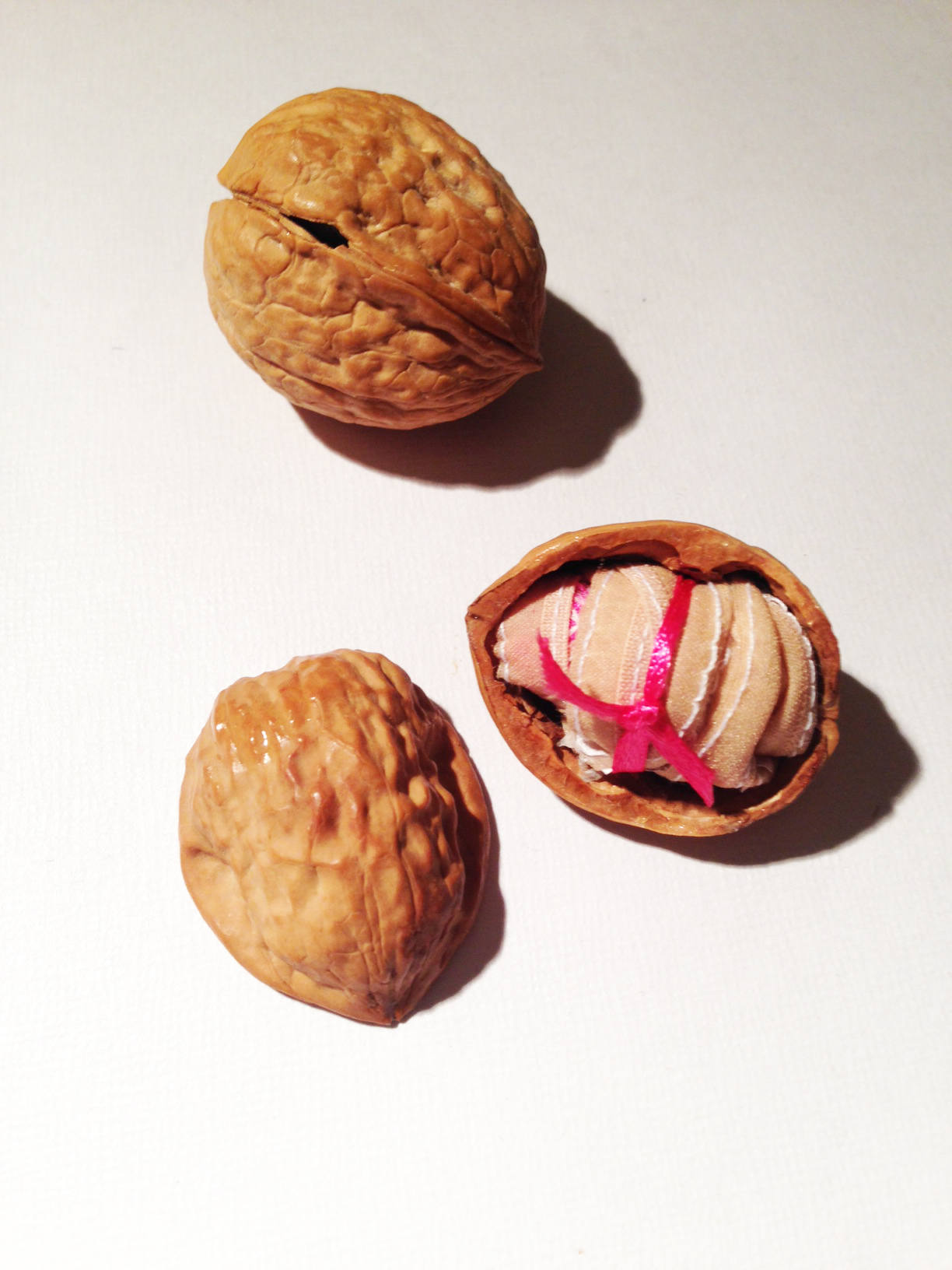 Thong in a Walnut/Novelty knickers/Funny Gift/Joke Etsy