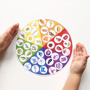 Règles de couleurs. Jeu d&#39;association de couleurs, apprendre les couleurs pour les petits enfants, activité pour les enfants, enseigner les couleurs.