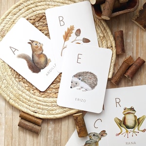 ABECEDARIO: Tarjetas abecedario animales del bosque, alfabeto láminas infantiles, abecedario ilustrado, ABC para niños. Alfabeto para niños.