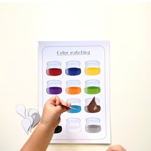 Color Sorting Matching, color association game, Toddler color game, Kids Activity, Kindergarten, Homeschool. Child learning activity. image 3