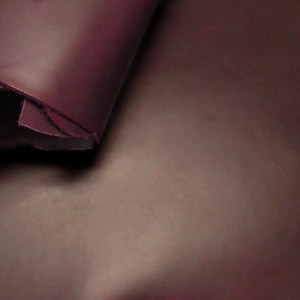 Può includere: Primo piano di un tessuto in pelle color bordeaux scuro. Il tessuto ha una finitura liscia e leggermente lucida.