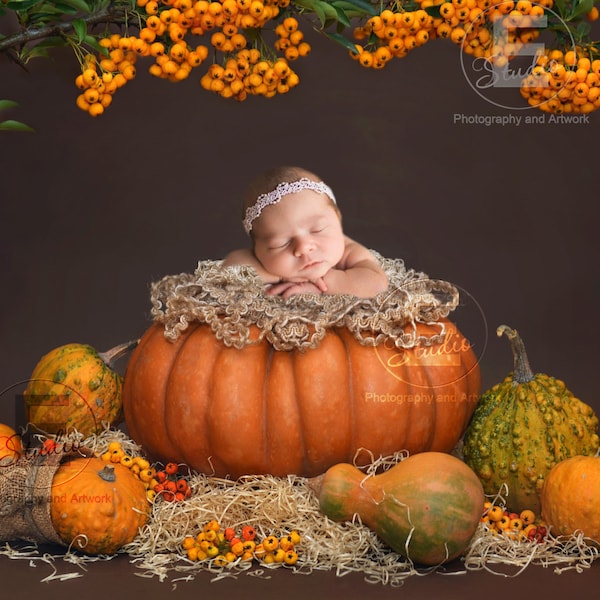 Autumn digital backdrop, baby in pumpkin background, digital baby props, newborn digital template, rustic farm photo sitter, toddler overlay