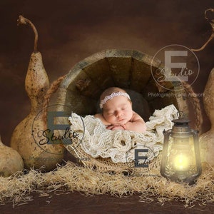Autumn Baby Digital Backdrop Rustic Digital Background Farm - Etsy