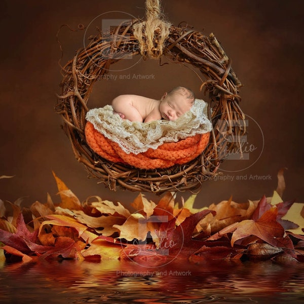 Fall digital background, autumn photo overlay, rustic baby backdrop, fall newborn photo prop, harvest digital template, halloween download