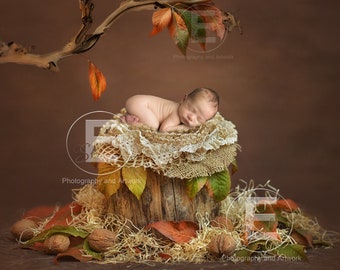 Autumn digital background, fall baby backdrop, harvest sitter template, rustic toddler overlay, halloween digital download, photoshop props