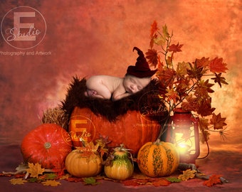Autumn Digital backdrops, newborn digital prop, 2 photography backgrounds, fall props, baby in pumpkin backdrop, harvest toddler overlay