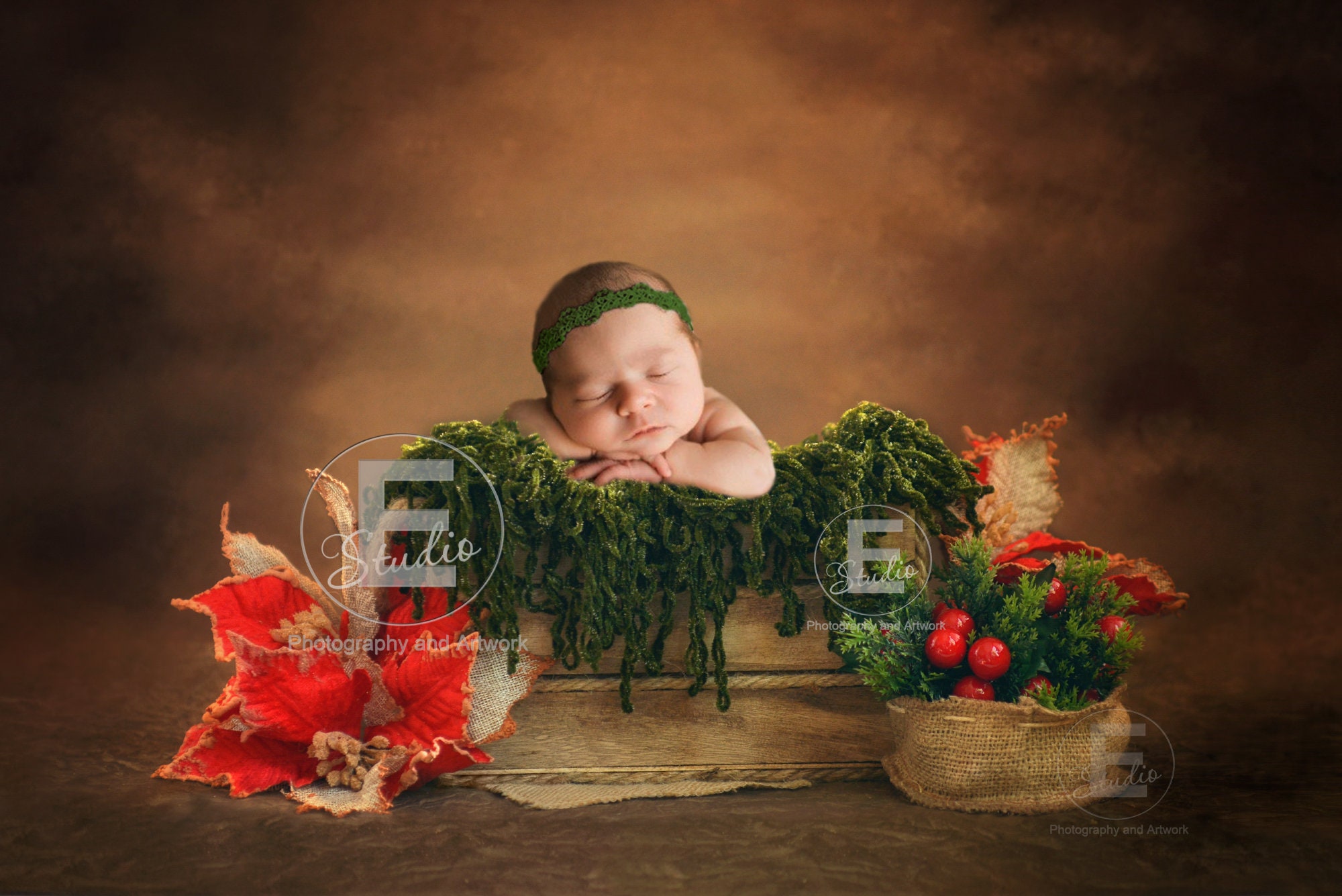 Christmas Digital Backdrop Newborn Digital Background 