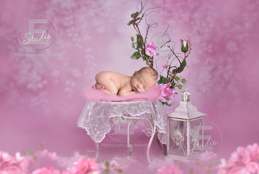 Pink Digital Backdrop Flower Baby Background Newborn Photo Etsy