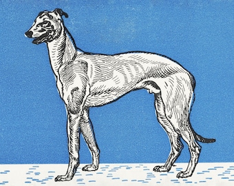 Vintage Windhund 'Kunstdruck': Retro Hund Wanddeko (Digitaler Download)