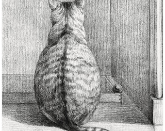May include: A black and white pencil drawing of a tabby cat sitting with its back to the viewer. The cat is looking to the right, and its tail is curled around its body. The cat is sitting on a wooden floor, and there is a wall behind it.