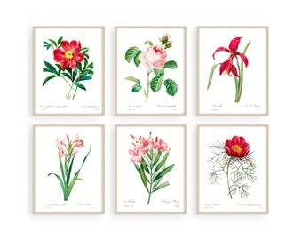 Vintage Botanical Flower Print Set: Archival Floral Wall Art