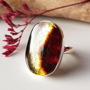 Unique, lemon-cherry Baltic amber ring, Solid amber ring, Amber and silver 925 adjustable ring, Baltic amber jewelry