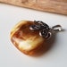 Pendentif Donut En Ambre Naturel De La Baltique Avec Insecte Inclus – Cadeau Original – Neuf Sans Emballage