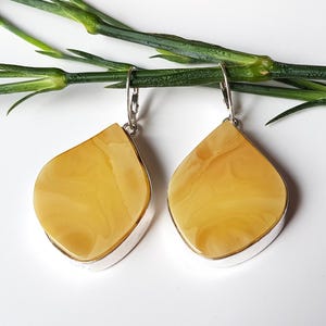 Large, yellow Baltic amber earrings, Amber dangle earrings, Natural amber earrings, Baltic amber and sterling silver earrings, Amber jewelry