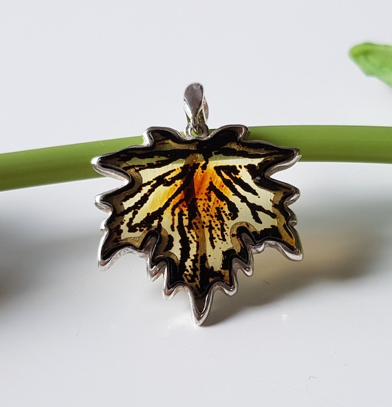Pendentif Ambre Baltique - Feuille De Cognac - Argent Massif - Pologne