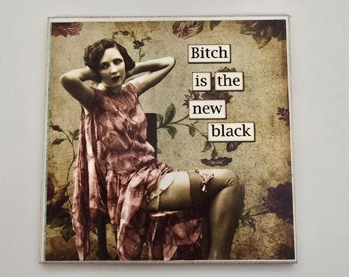 sarcastic funny witty fridge magnet