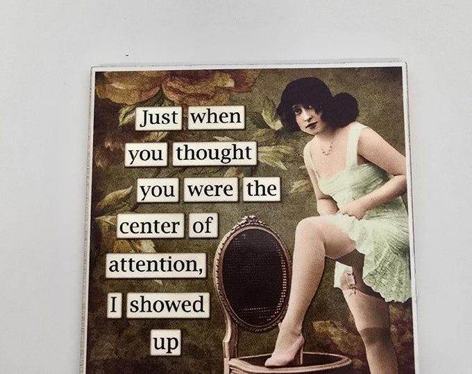 sarcastic funny witty fridge magnet