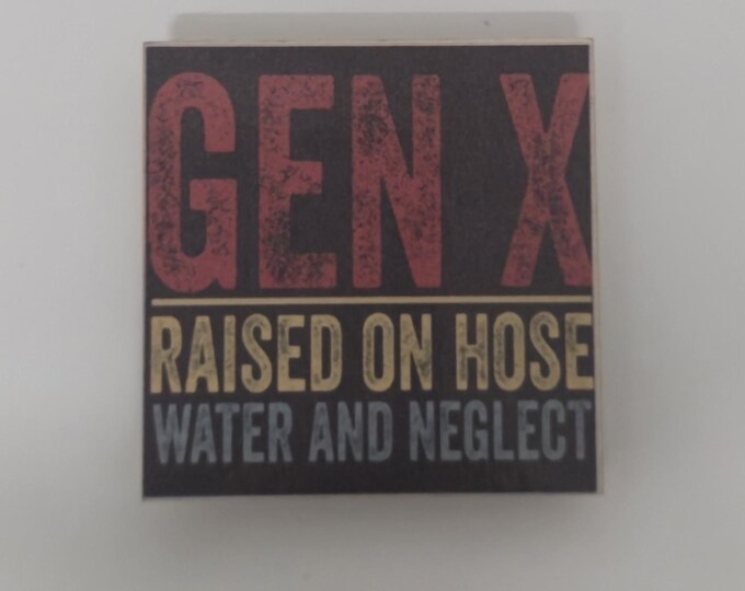 Sarcastic funny magnet