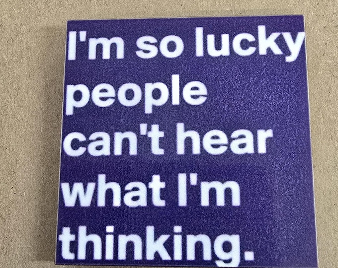 Funny sarcastic fridge magnet