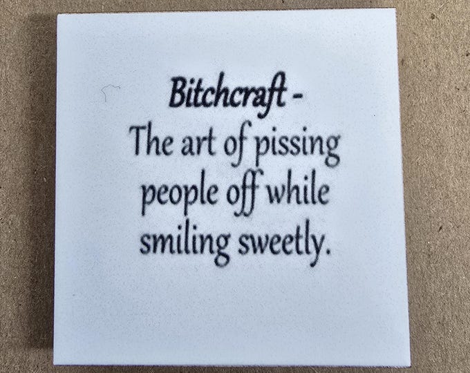 Funny sarcastic fridge magnet