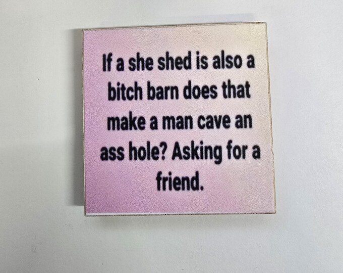 Sarcastic funny magnet